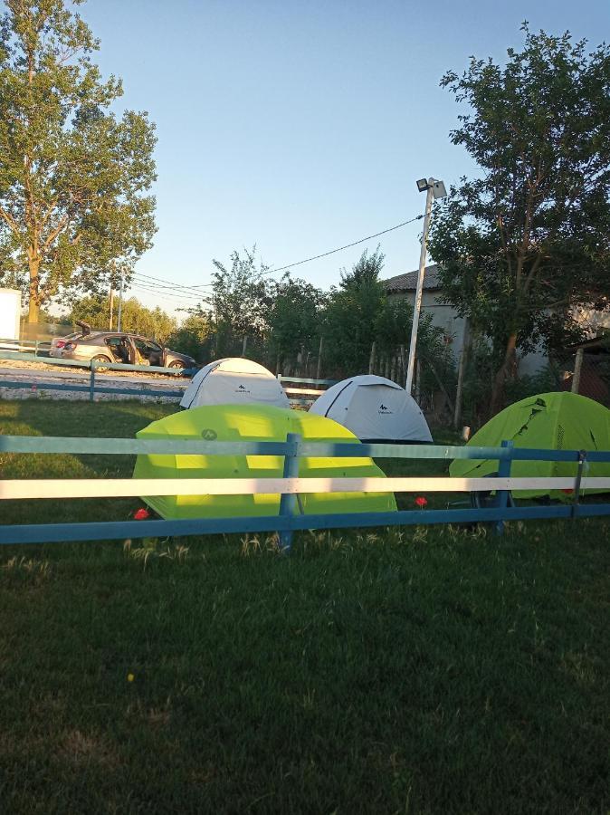 Camping Danubius Tulcea Extérieur photo