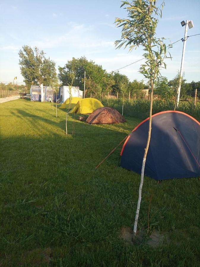 Camping Danubius Tulcea Extérieur photo